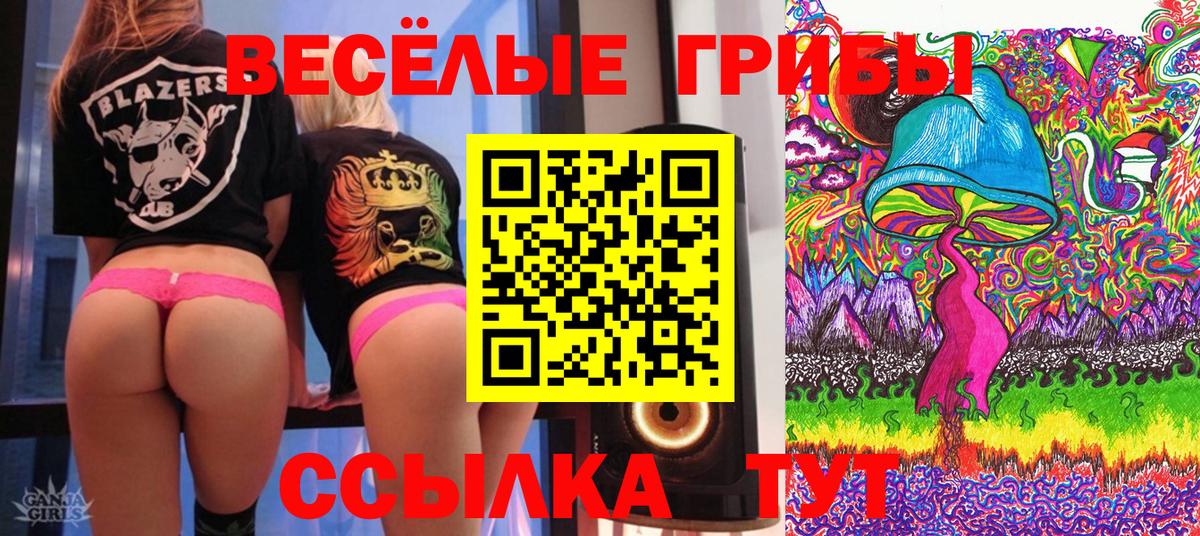 Галлюциногенные грибы Psilocybine cubensis  Вход с VPN  Сергиев Посад 