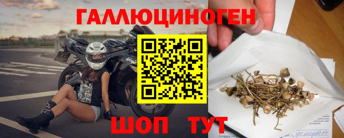 Галлюциногенные грибы Psilocybe Сергиев Посад